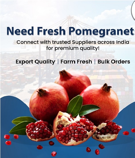 Imperial Gate Export Grocery Products